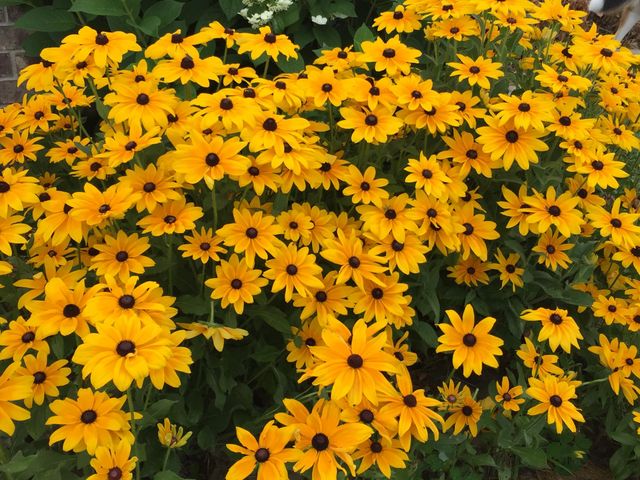 165 Brown Swiss Drive, Billings, MO 65610