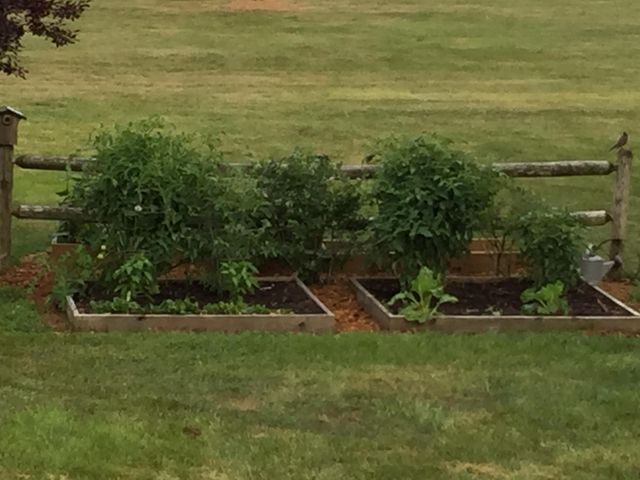 165 Brown Swiss Drive, Billings, MO 65610