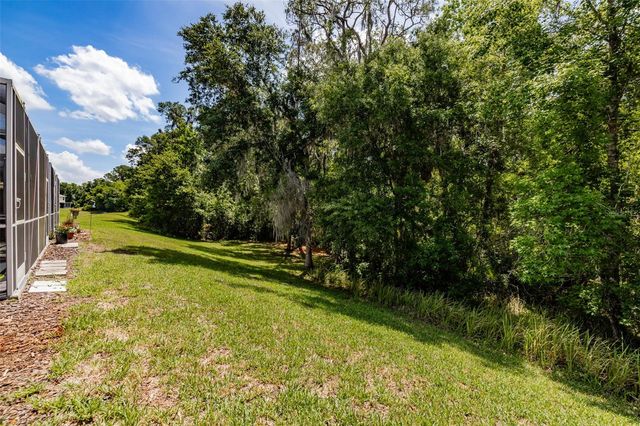 15911 FISHHAWK VIEW DRIVE, Lithia, FL 33547