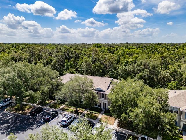 15911 FISHHAWK VIEW DRIVE, Lithia, FL 33547