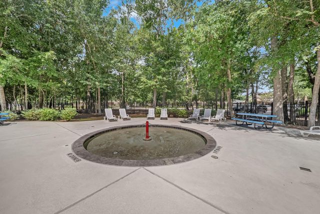 14043 Albany Springs Lane, Houston, TX 77044