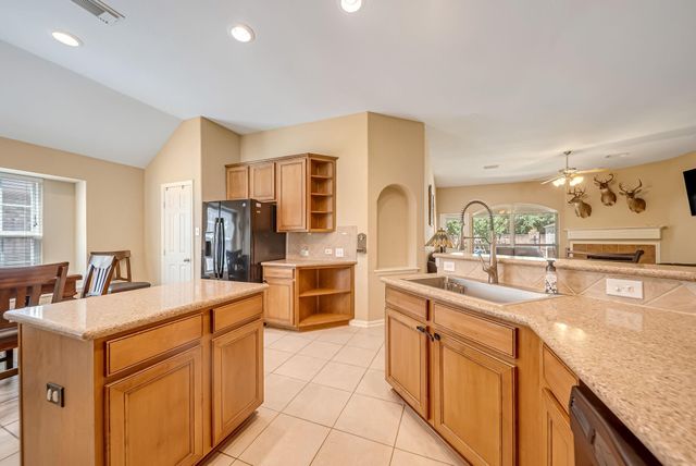 14043 Albany Springs Lane, Houston, TX 77044