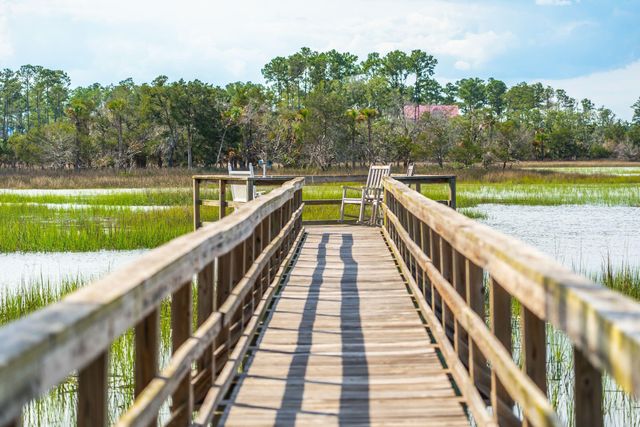 168 Nobels Point Street, Charleston, SC 29492