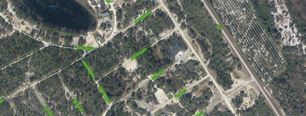 456 BLACK BIRD AVENUE, Lake Placid, FL 33852