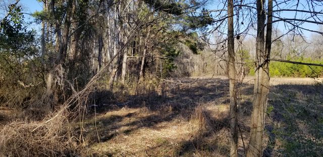 0 Wesley Grove Road, Cottageville, SC 29435