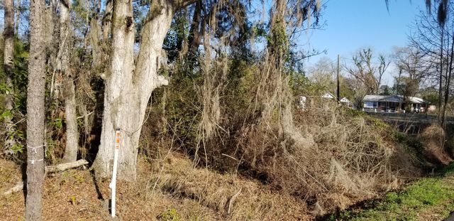 0 Wesley Grove Road, Cottageville, SC 29435