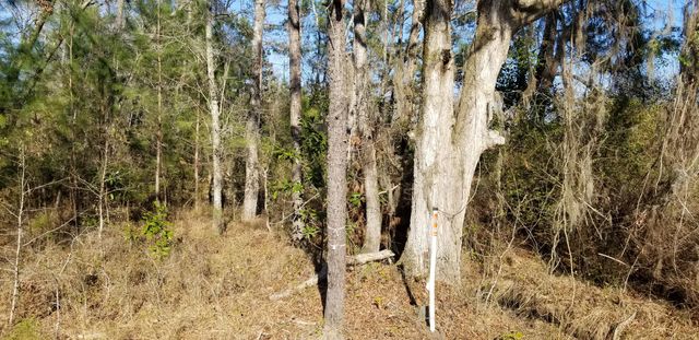 0 Wesley Grove Road, Cottageville, SC 29435