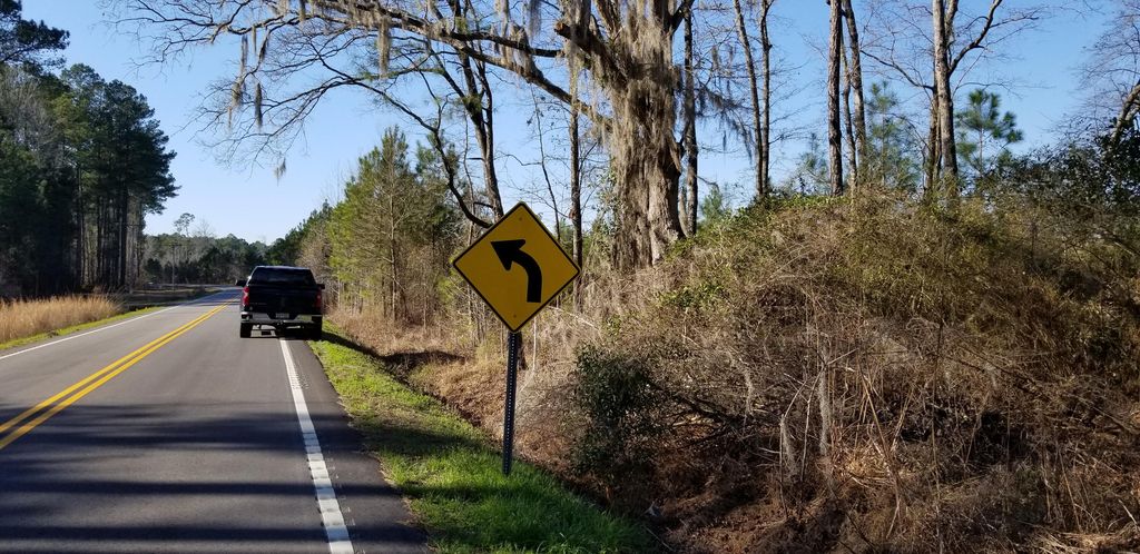 0 Wesley Grove Road, Cottageville, SC 29435