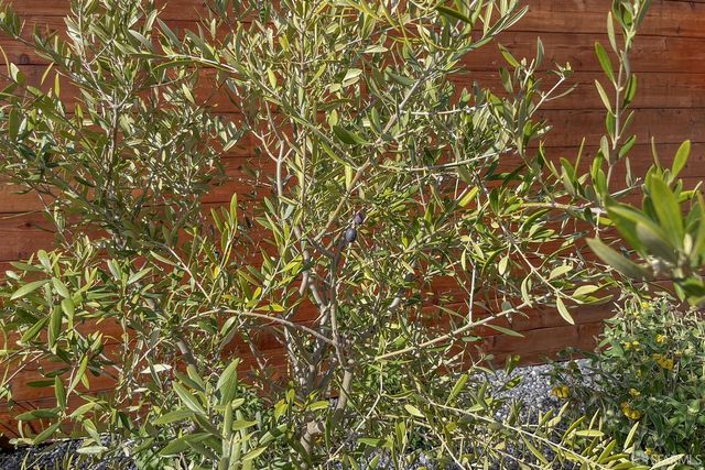 155 Flood Avenue, San Francisco, CA 94131