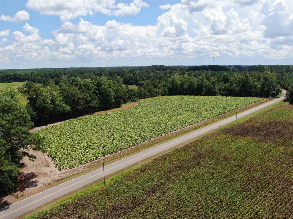 TBD Black Creek Rd., Nichols, SC 29581 — exterior