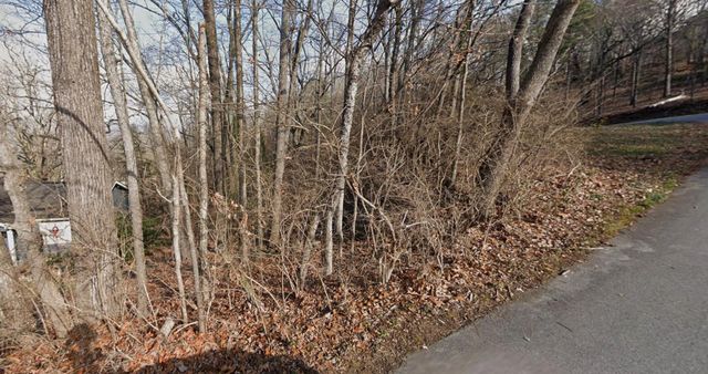 24 Mcclure Terrace, Chattanooga, TN 37415