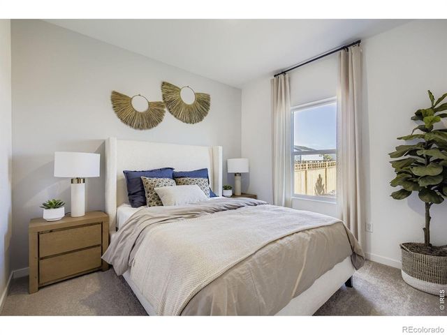 6169 Bream Place, Loveland, CO 80538