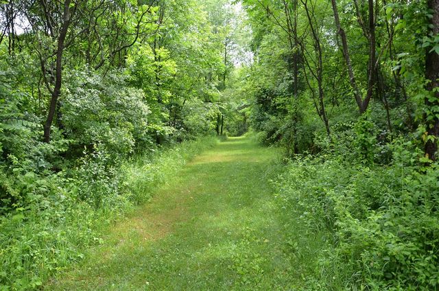 8874 1 Mile Road, East Leroy, MI 49051