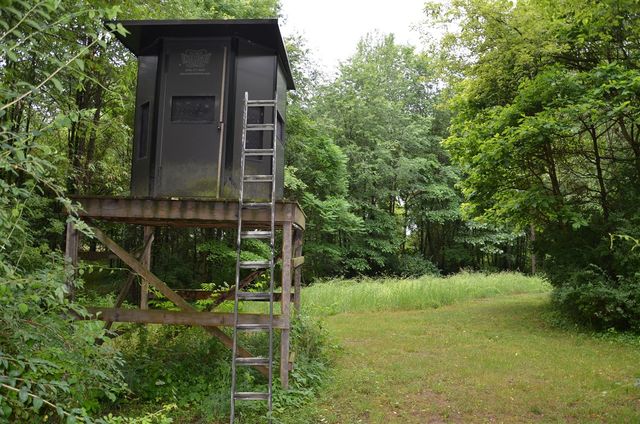 8874 1 Mile Road, East Leroy, MI 49051