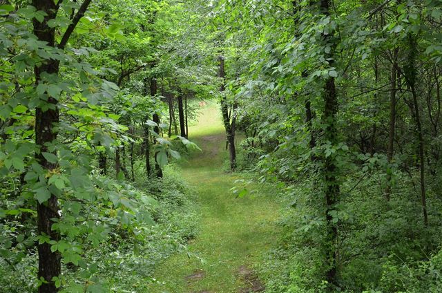 8874 1 Mile Road, East Leroy, MI 49051