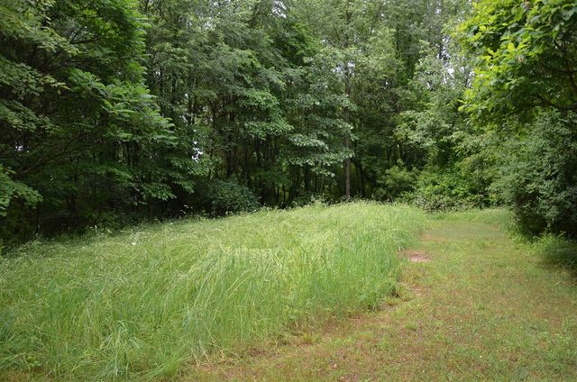 8874 1 Mile Road, East Leroy, MI 49051