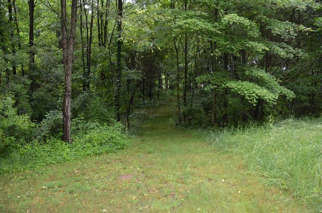 8874 1 Mile Road, East Leroy, MI 49051