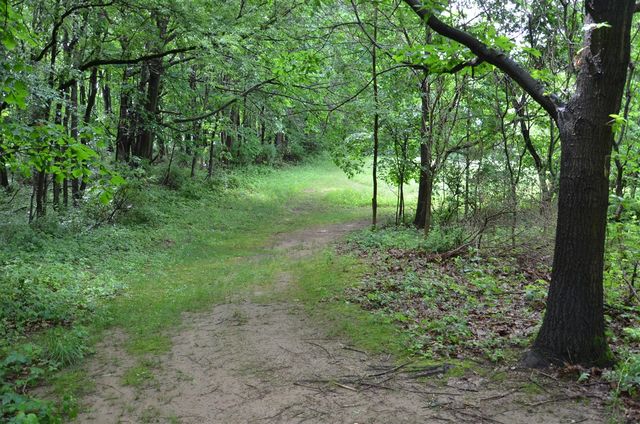 8874 1 Mile Road, East Leroy, MI 49051