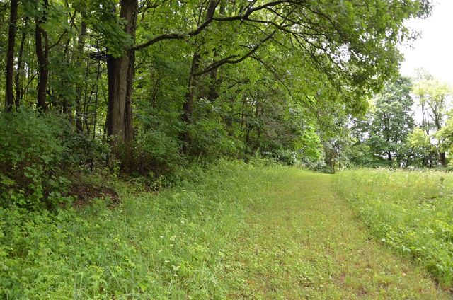 8874 1 Mile Road, East Leroy, MI 49051