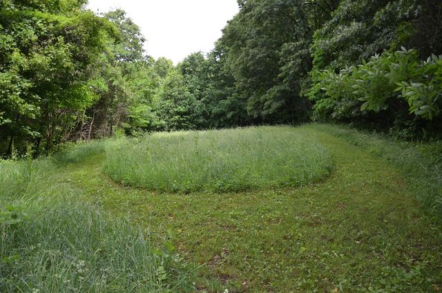 8874 1 Mile Road, East Leroy, MI 49051