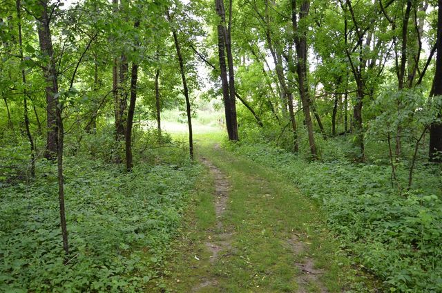8874 1 Mile Road, East Leroy, MI 49051