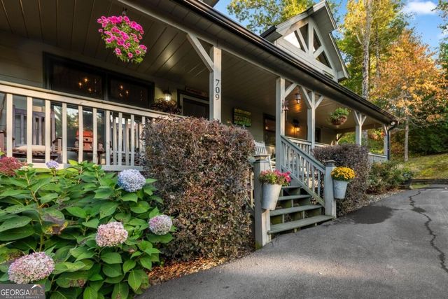 709 Laurel Creek Trail, Blue Ridge, GA 30513