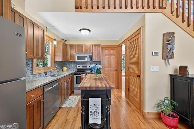 727 Bonanza Lane, Tiger, GA 30576