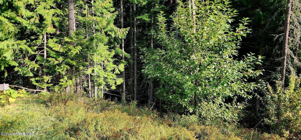 0 Alder Way, St. Maries, ID 83861