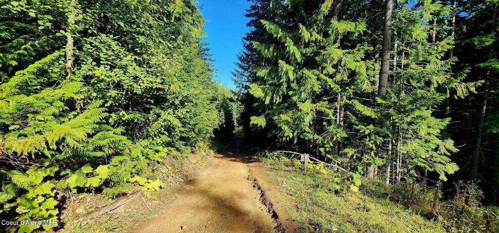 0 Alder Way, St. Maries, ID 83861 photo 2