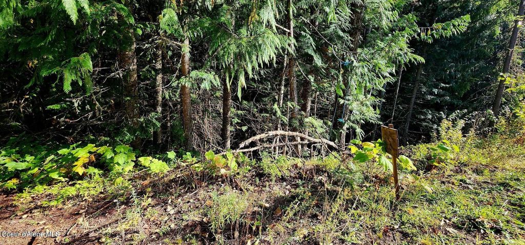 0 Alder Way, St. Maries, ID 83861 photo 3