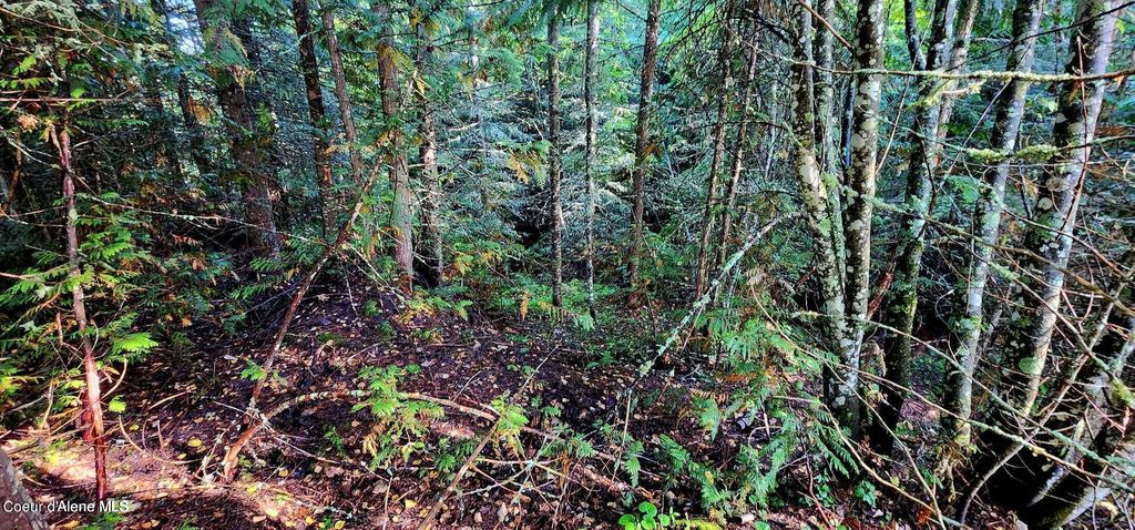 0 Alder Way, St. Maries, ID 83861 photo 4