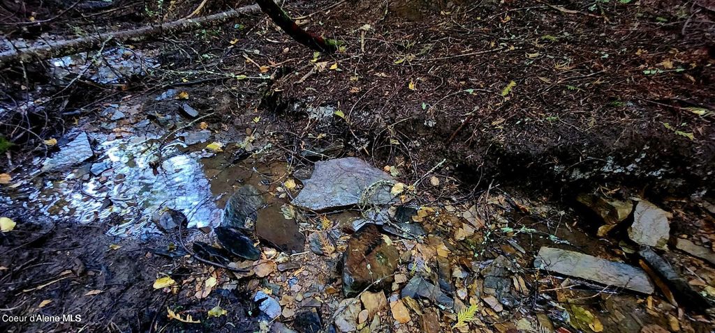 0 Alder Way, St. Maries, ID 83861 photo 5