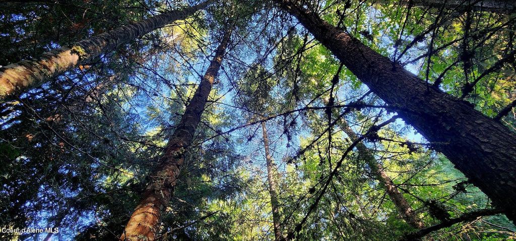 0 Alder Way, St. Maries, ID 83861 photo 6