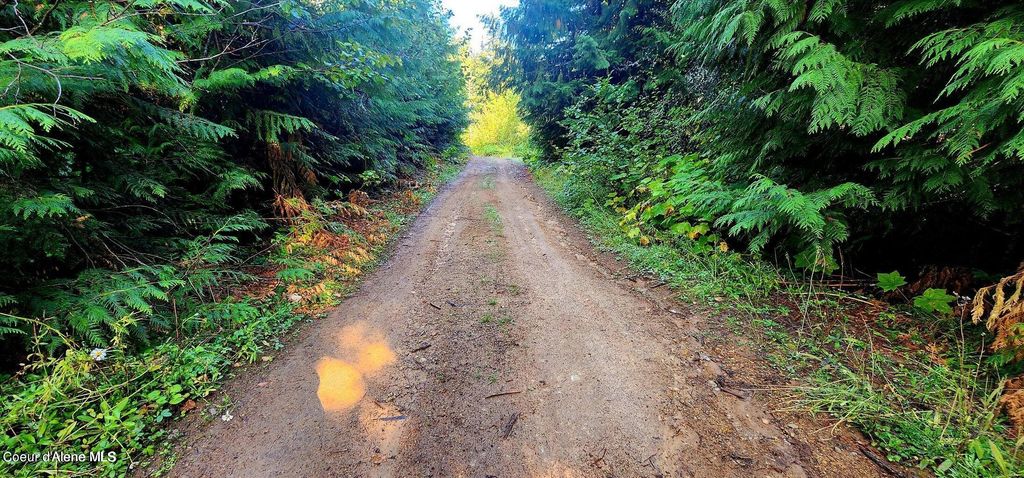 0 Alder Way, St. Maries, ID 83861 photo 7