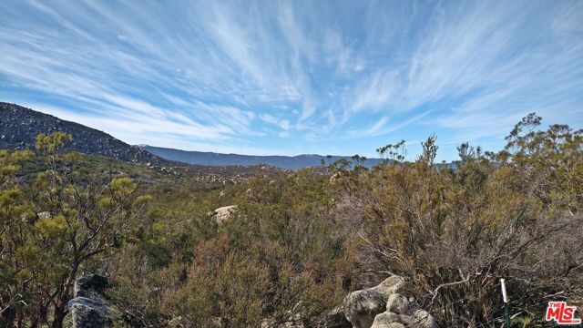 51919 TULE PEAK Road, Aguanga, CA 92536