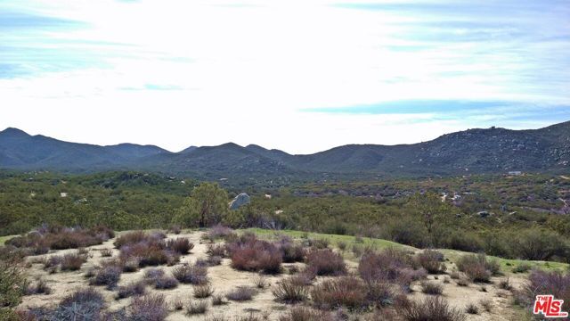 51919 TULE PEAK Road, Aguanga, CA 92536