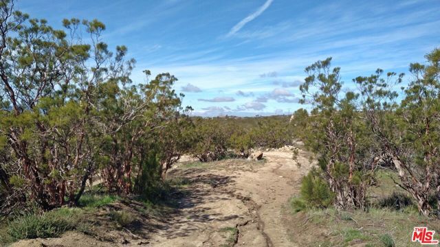 51919 TULE PEAK Road, Aguanga, CA 92536