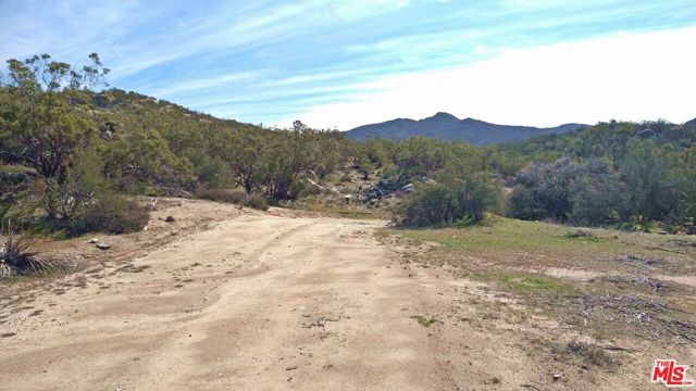 51919 TULE PEAK Road, Aguanga, CA 92536