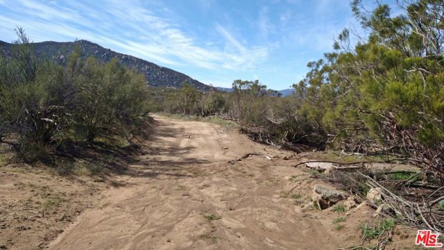 51919 TULE PEAK Road, Aguanga, CA 92536