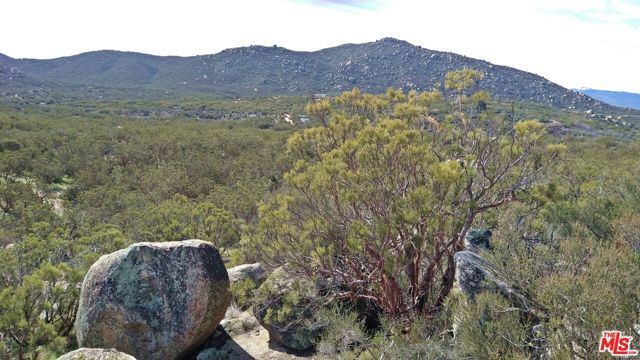 51919 TULE PEAK Road, Aguanga, CA 92536