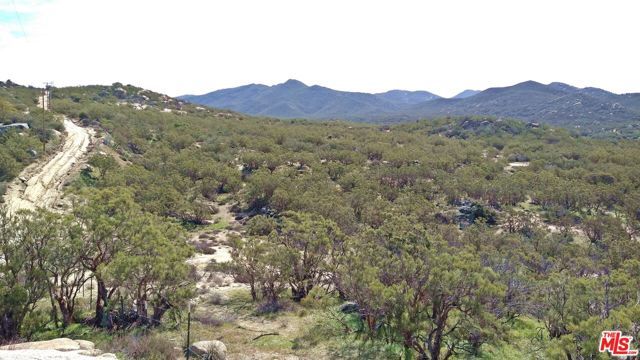 51919 TULE PEAK Road, Aguanga, CA 92536