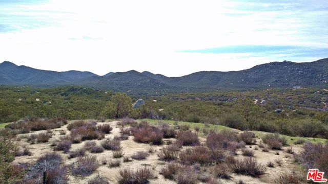 51919 TULE PEAK Road, Aguanga, CA 92536