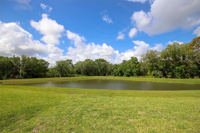 10347 ALDER GREEN DRIVE, Riverview, FL 33578
