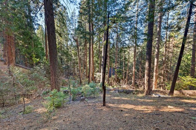 24144 Olo Win Trl, Mi Wuk Village, CA 95346