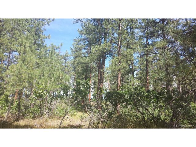 4467 Delaware Dr, Larkspur, CO 80118