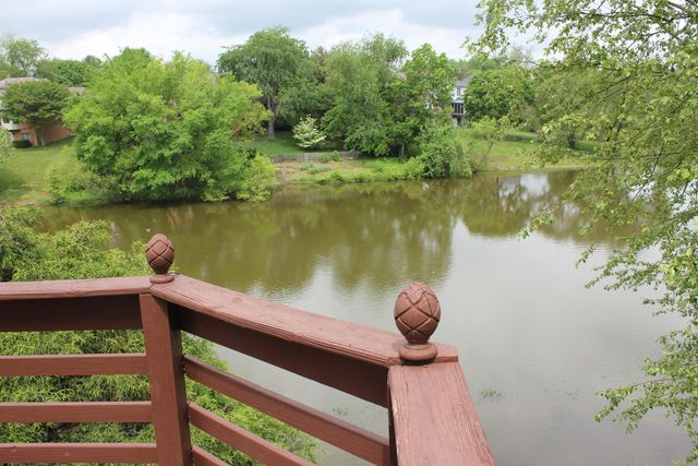 113 Paddock Court, Frankfort, KY 40601