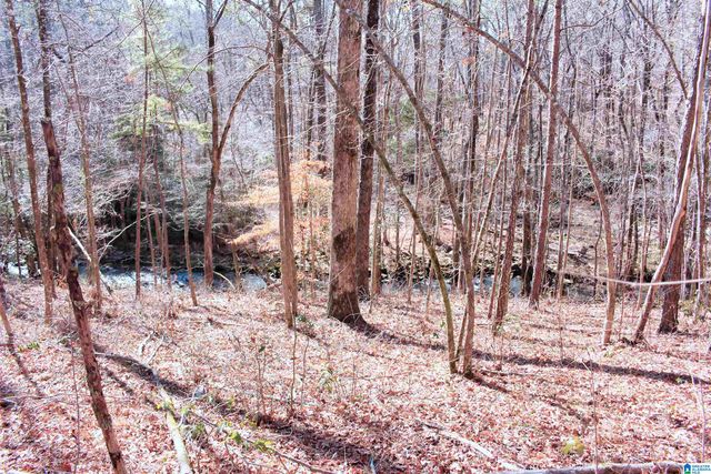 6244 HIGHWAY 78, Pell City, AL 35128