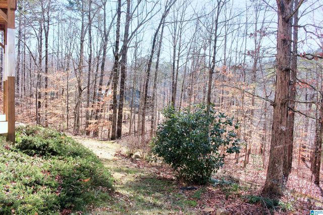 6244 HIGHWAY 78, Pell City, AL 35128