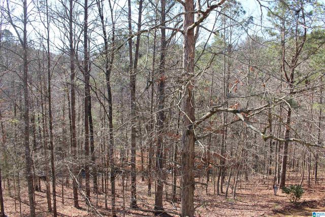 6244 HIGHWAY 78, Pell City, AL 35128