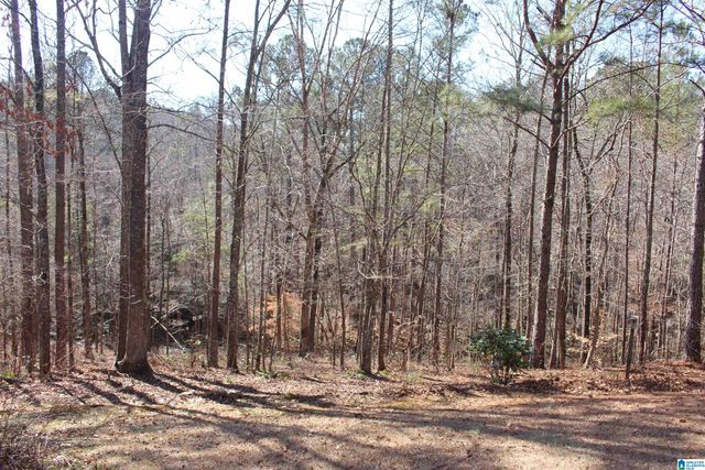 6244 HIGHWAY 78, Pell City, AL 35128